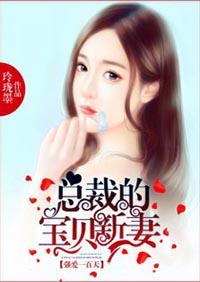 沈芳菲文泽礼封面