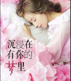 沉浸在有你的梦里封面