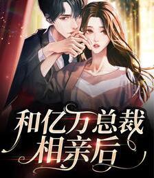 司慎行许浅安免费阅读封面