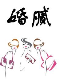 许清芷赵成钊封面