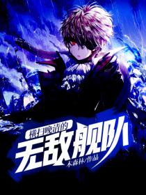 横扫晚清的无敌舰队封面