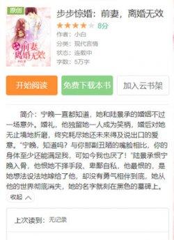 宁晚陆景承封面