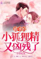 乔曦顾夜爵封面