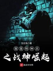 南斯御沈嘉沅封面