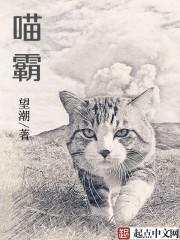 沈清歌林聿川小说封面