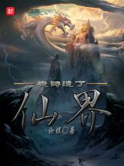 程岁宁陈敬怀程岁宁陈敬怀封面