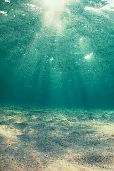 徐子复赵弯弯封面