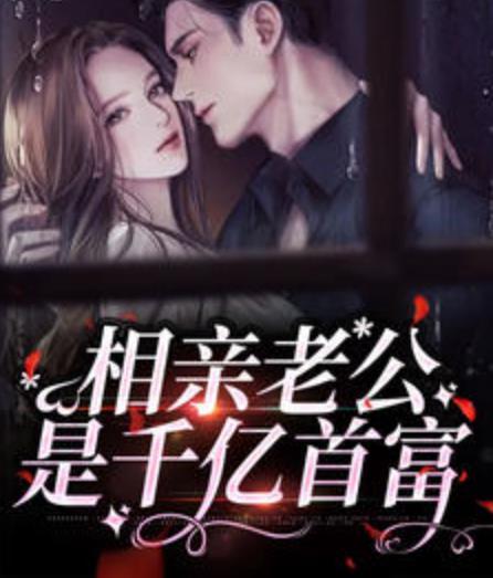 相亲误嫁闪婚老公超有钱小说封面