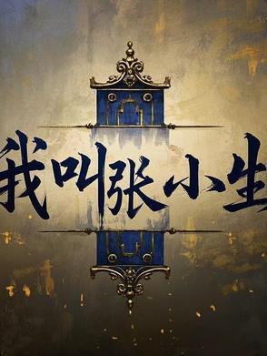 我叫张小生封面