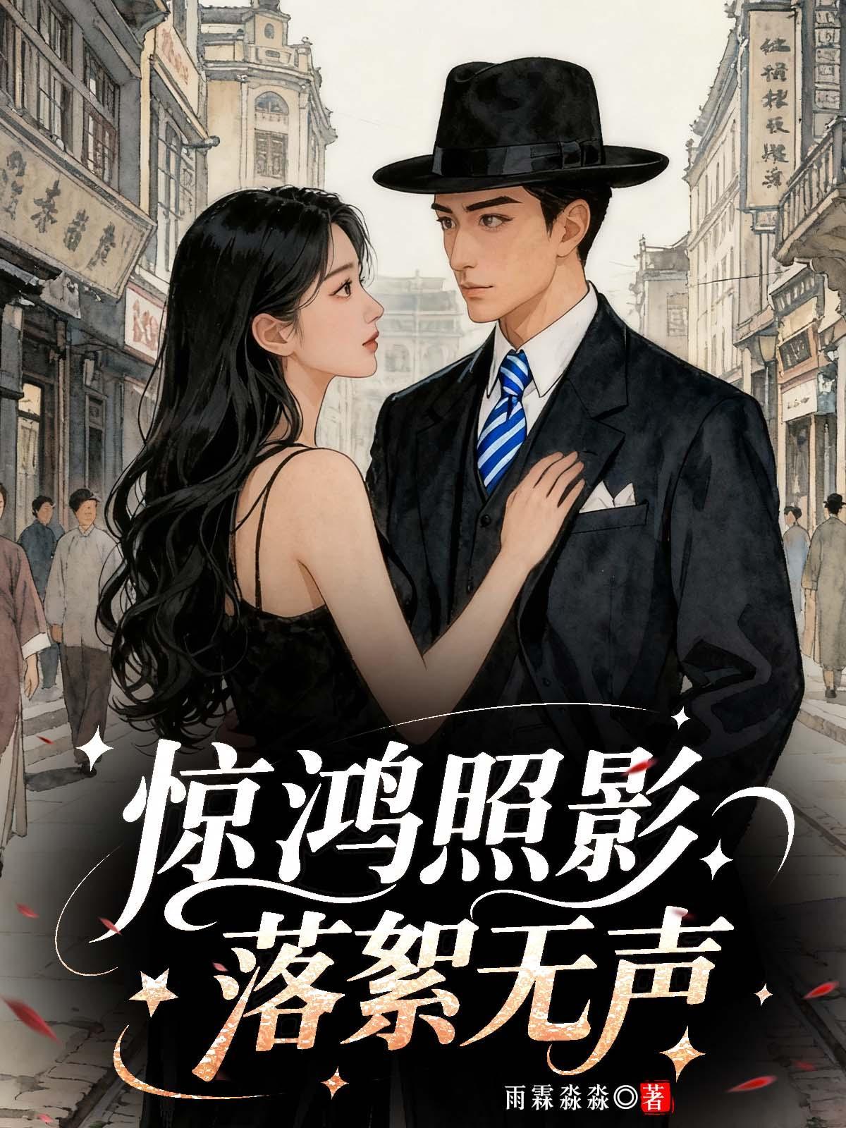 惊鸿照影落絮无声封面