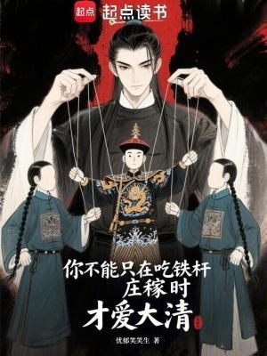 你不能只在吃铁杆庄稼时才爱大清封面