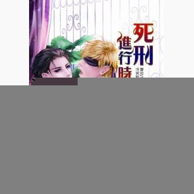 死刑进行时（出书版）封面