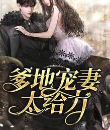 爹地宠妻太给力封面