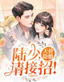 隐婚陆少请宠我封面