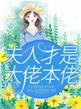 全能夫人冷又傲封面