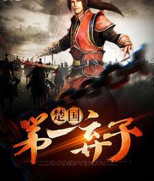 楚赢容妃小说封面