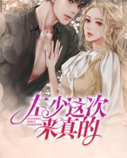 左少这次来真的小说封面