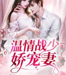 乔小意战霆夜封面