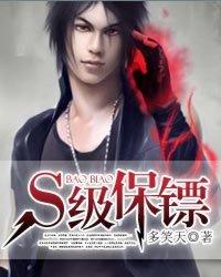 S级保镖封面