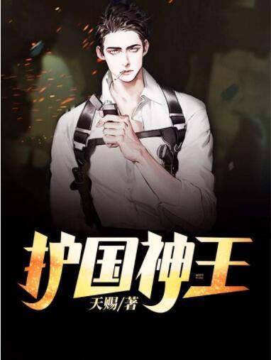 护国神王封面