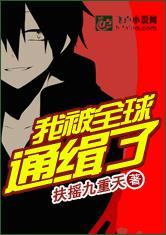 陆菀秦煜小说封面