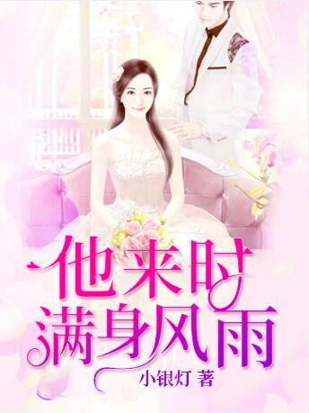 爱他来时满身风雨小说似摧城拔寨桑宁封面