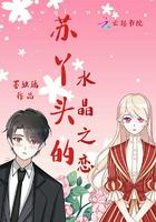 江煦苏锦小说封面