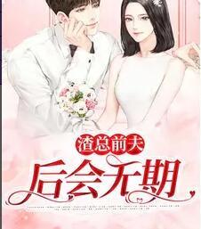 离婚后渣总他追悔莫及小说封面