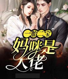一胎二宝：妈咪是大佬封面