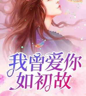 我曾爱你如初故封面