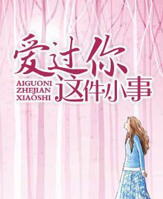 爱过你这件小事封面