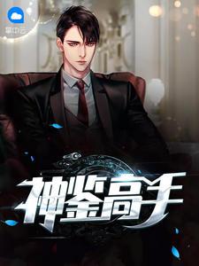 神鉴高手李峰秦慕霜封面