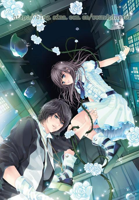 洛晚 陆寒川小说全文免费阅读封面