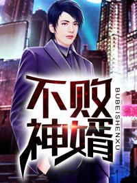 北境守护神封面